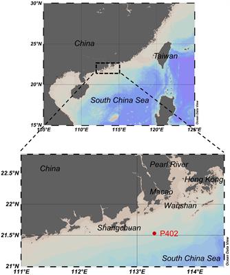Kinetic isotope effect of decomposing fatty acids in the continental shelf sediment of the northern South China Sea